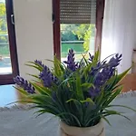 Vikendica Sapat Sane, Prijedor Ostra Luka